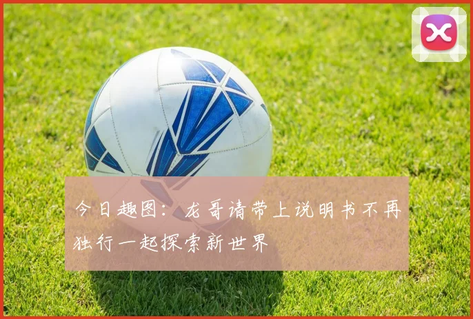 今日趣图：龙哥请带上说明书不再独行一起探索新世界